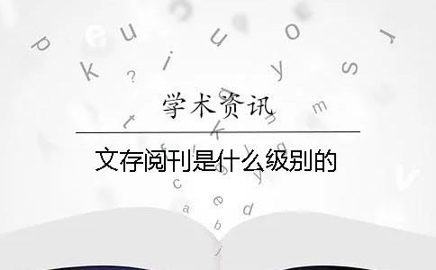 文存阅刊是什么级别的