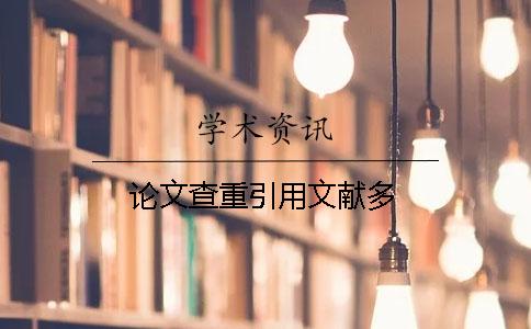论文查重引用文献多