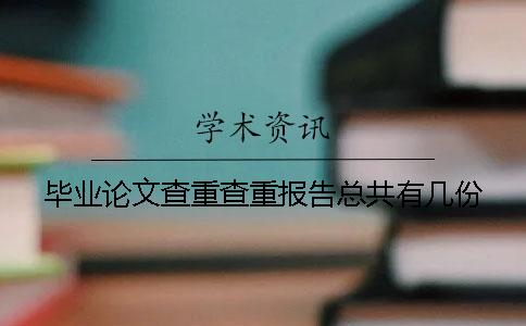 毕业论文查重查重报告总共有几份