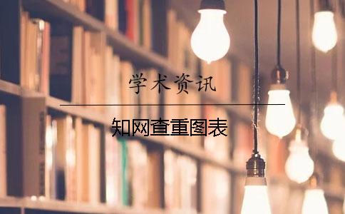 知网查重图表