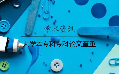 大学本专科专科论文查重