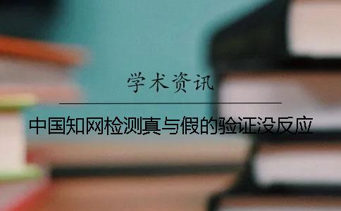 中国知网检测真与假的验证没反应