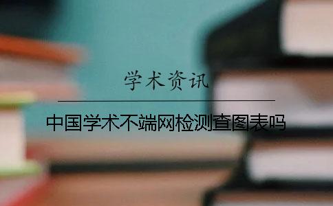 中国学术不端网检测查图表吗
