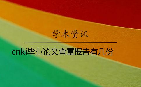 cnki毕业论文查重报告有几份
