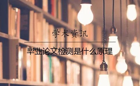 毕业论文检测是什么原理